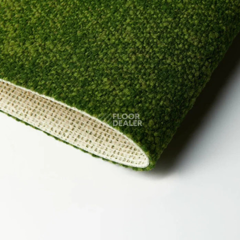 Haima Coral 30 фото 6 | FLOORDEALER